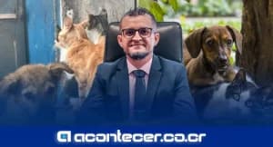 Profe Ariel Mora presenta proyecto para fortalecer bienestar animal con apoyo estatal