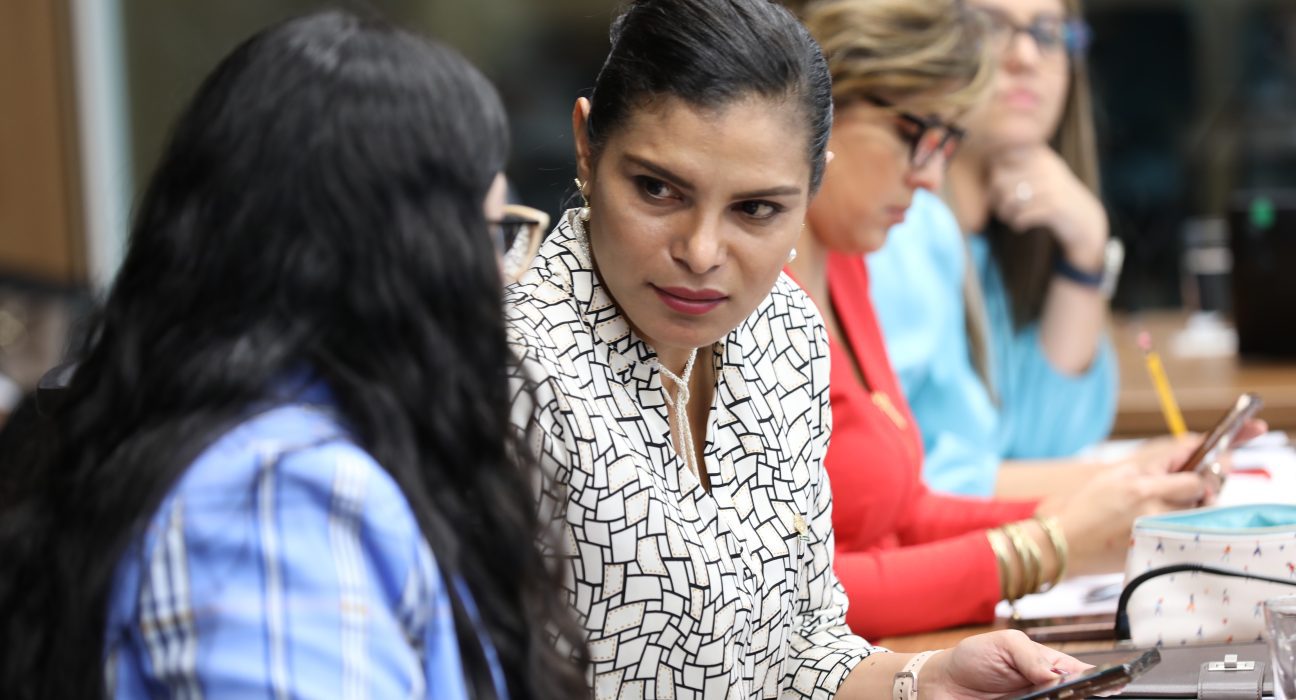 Diputada Johana Obando del Partido Liberal Progresista La gestión fue realizada ante el Incofer