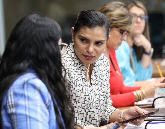 Diputada Johana Obando del Partido Liberal Progresista La gestión fue realizada ante el Incofer