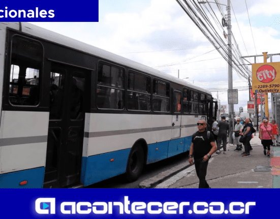 chofer de bus