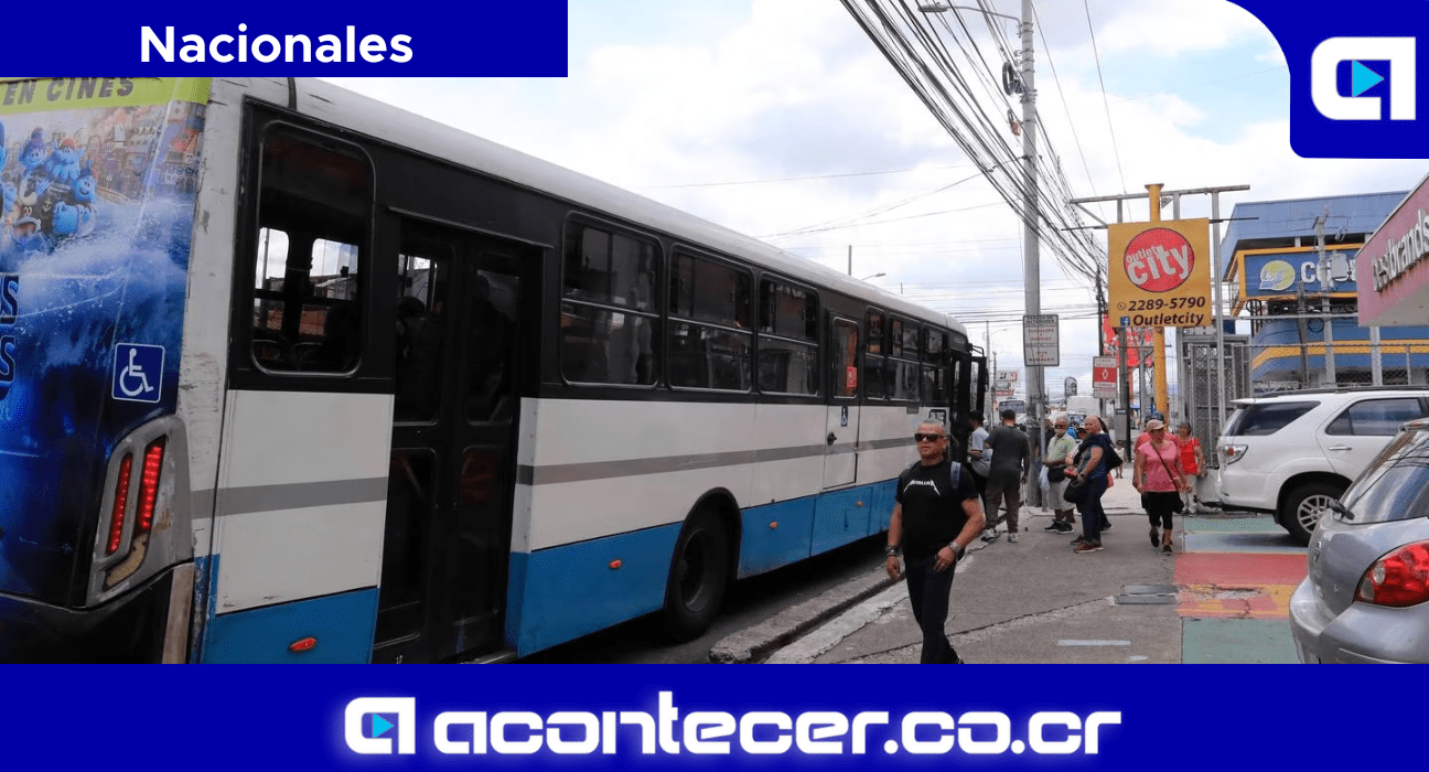chofer de bus
