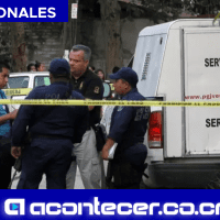 45 Bolsas