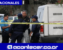 45 Bolsas