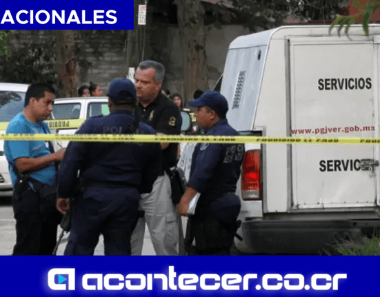 45 bolsas