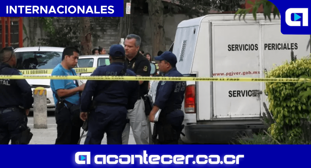 45 bolsas