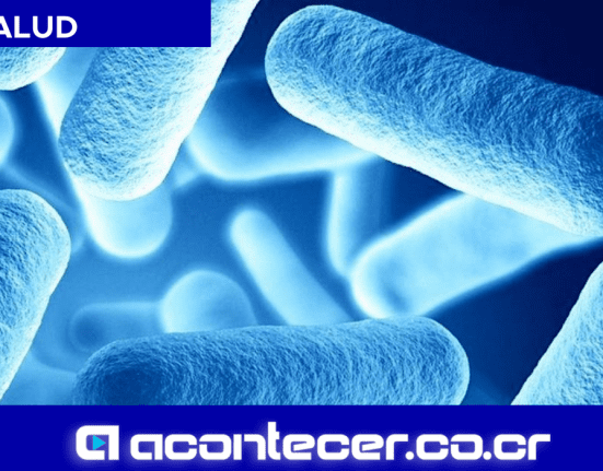 Tifoidea Vacuna en evolución Contagios