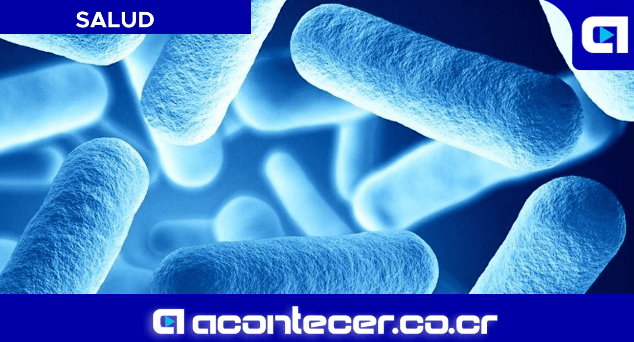 Tifoidea Vacuna en evolución Contagios