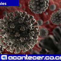 Coronavirus Infecciones Respiratorias Niños