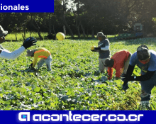 Cámara Nacional De Agricultura Y Agroindustria Sector Agropecuario