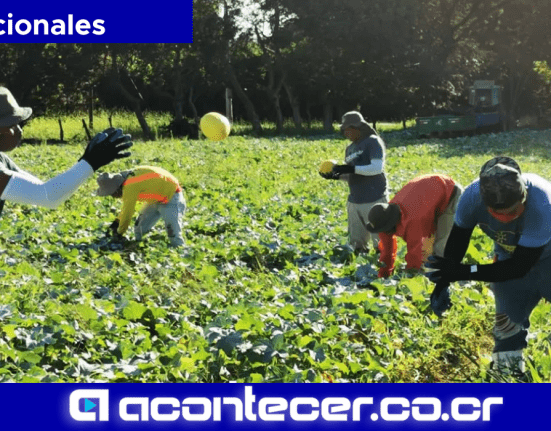 Cámara Nacional de Agricultura y Agroindustria Sector Agropecuario