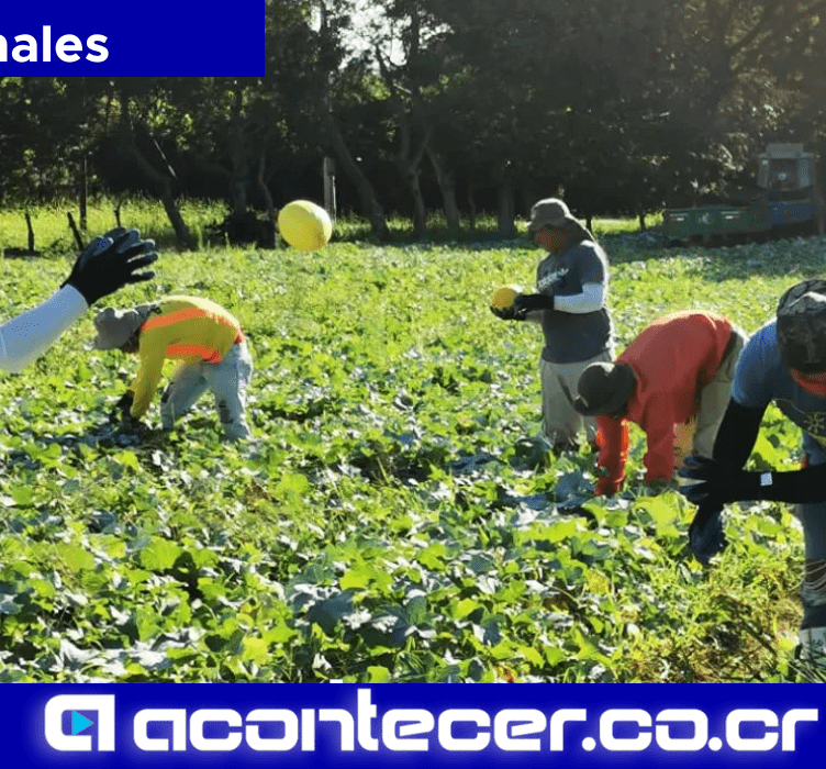 Cámara Nacional De Agricultura Y Agroindustria Sector Agropecuario