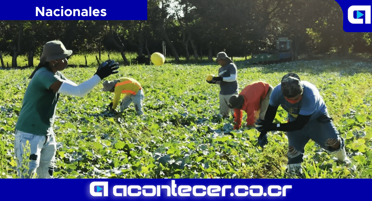 Cámara Nacional de Agricultura y Agroindustria Sector Agropecuario