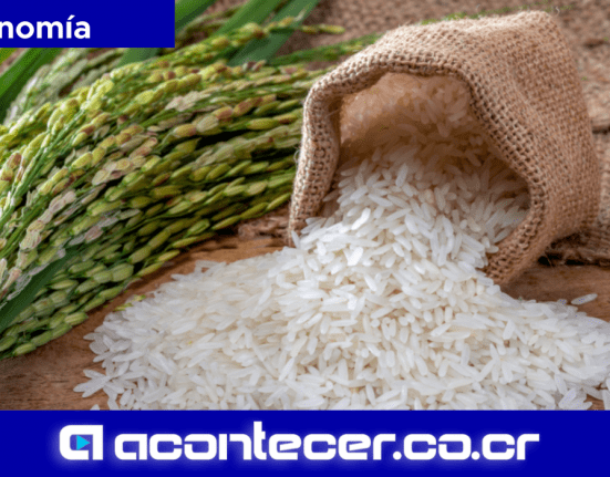 CNAA Ruta del Arroz Arroceros
