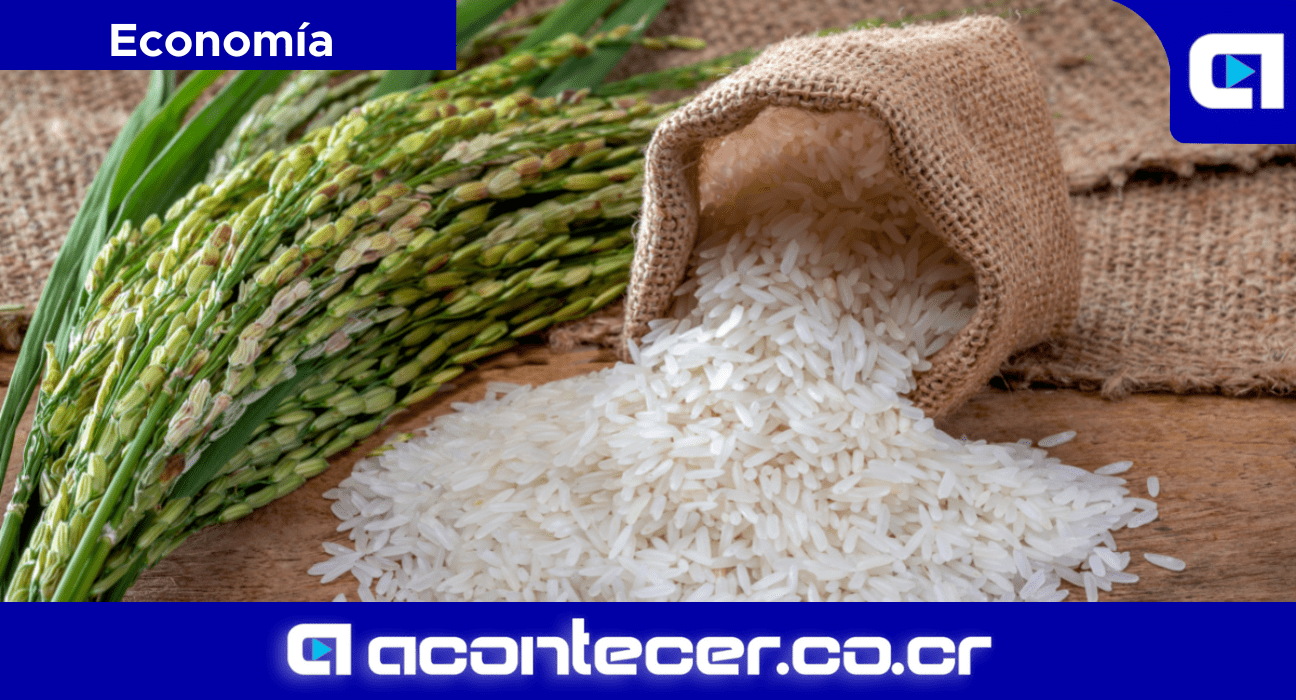 CNAA Ruta del Arroz Arroceros