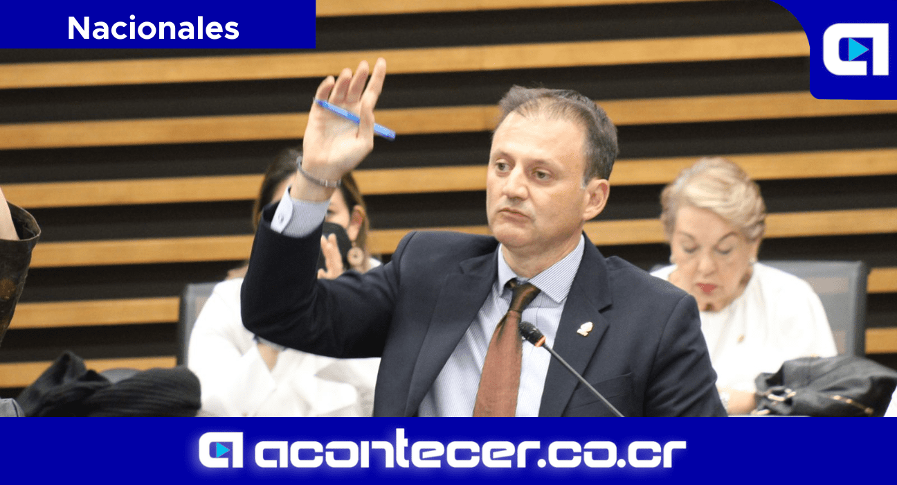 PLP Conteo de votos Palmares