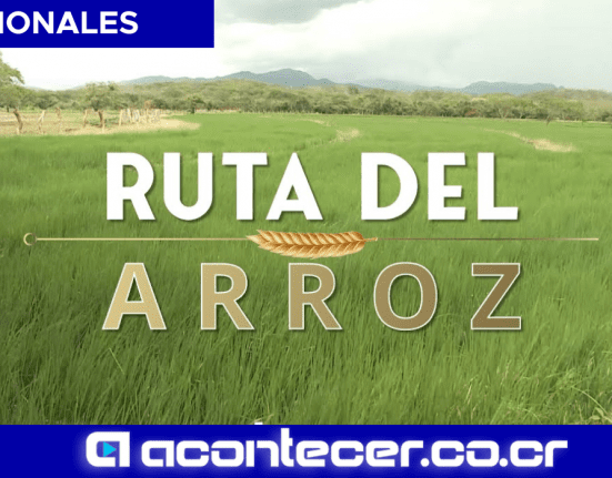 Ruta del Arroz Rodrigo Chaves Tribunal contencioso