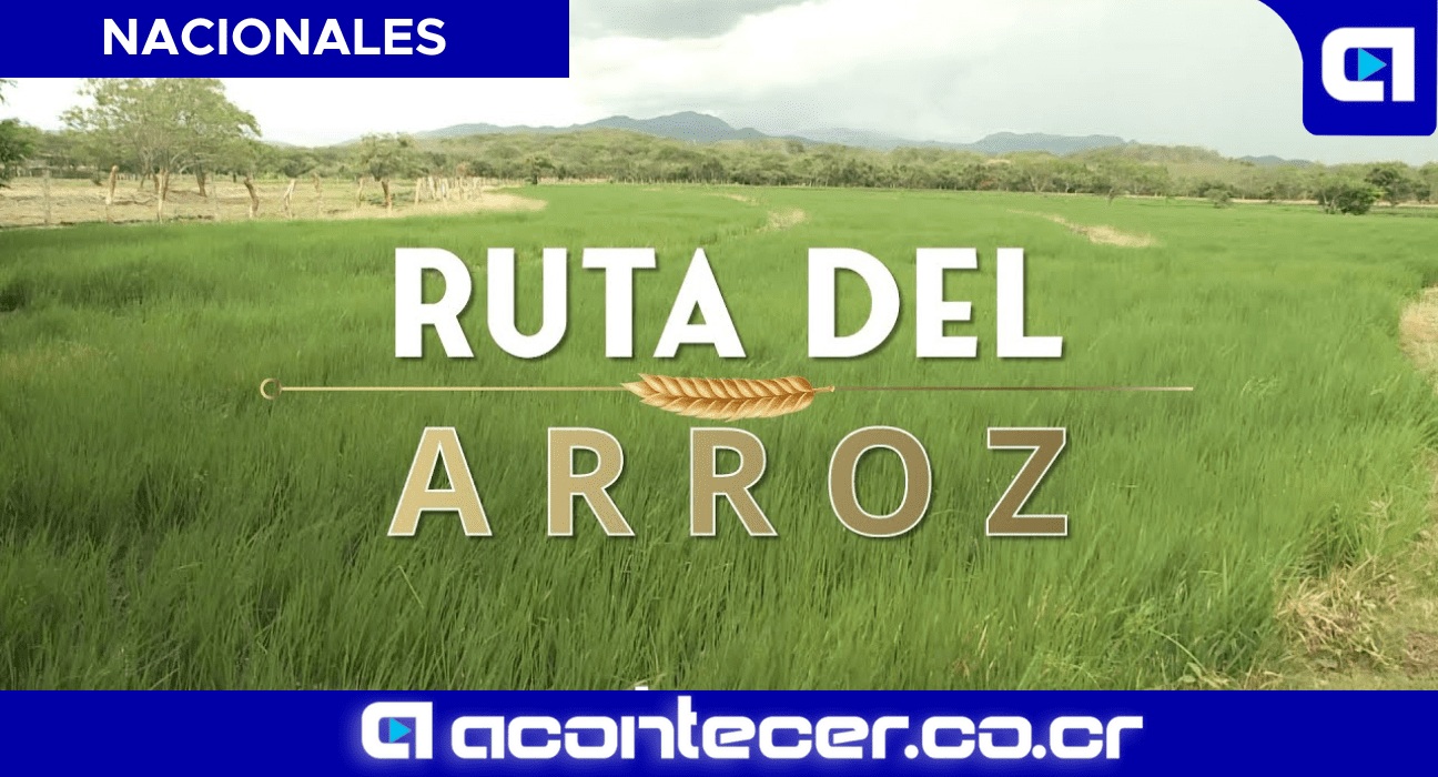 Ruta del Arroz Rodrigo Chaves Tribunal contencioso
