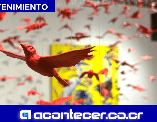 EXPOSICIONES GALERÍA NACIONAL