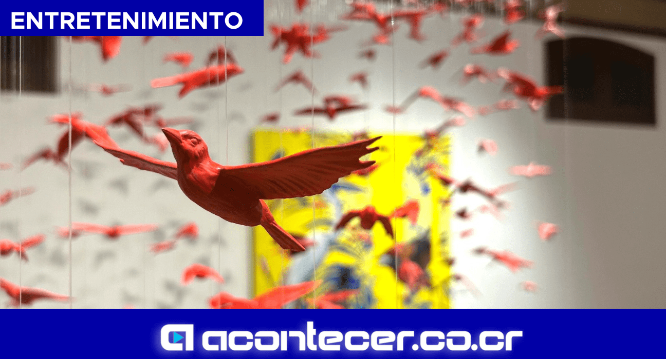 EXPOSICIONES GALERÍA NACIONAL