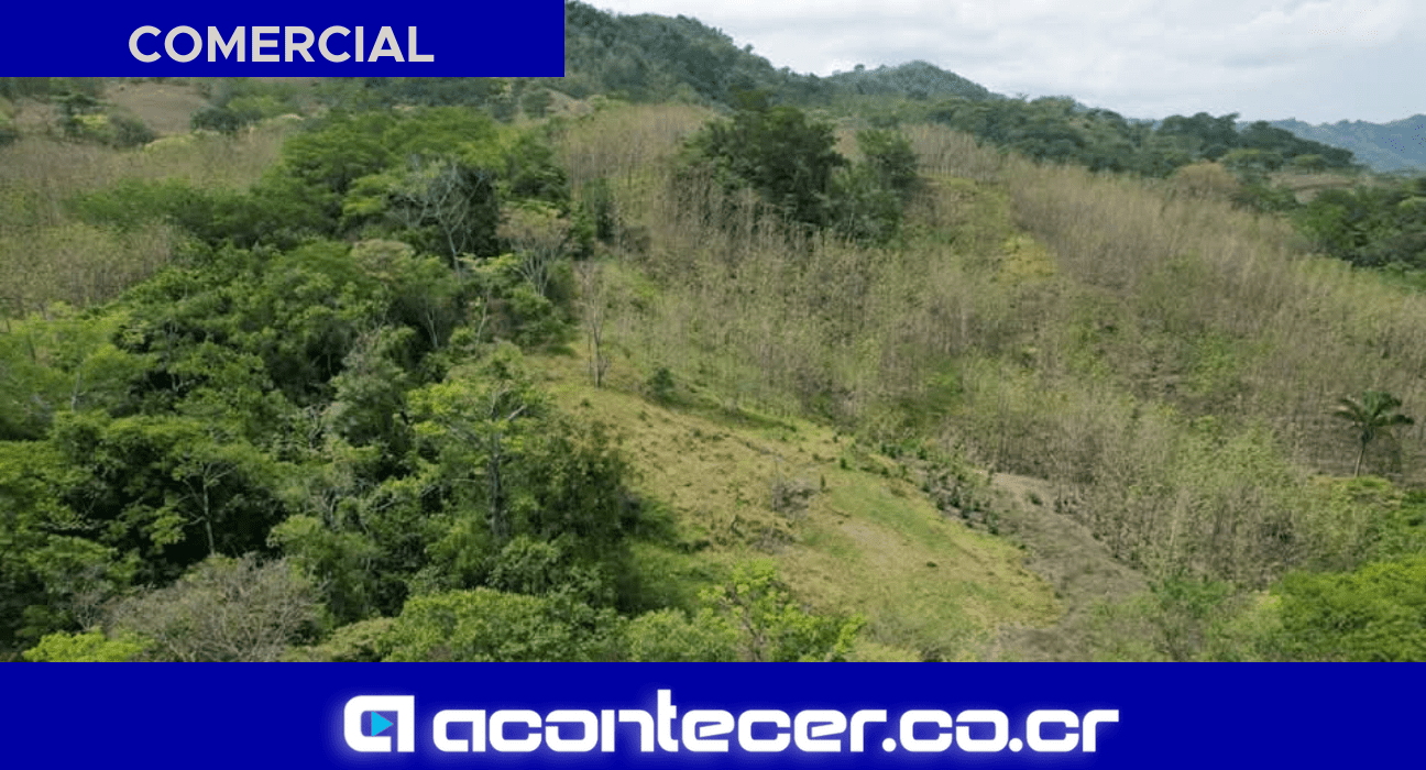 Venta de finca en Nandayure Guanacaste con teca, 79 héctareas. Finca Costa Rica