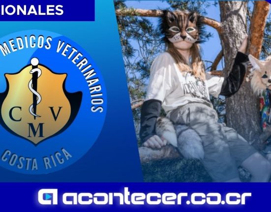 Colegio de Veterinarios define límites ante solicitudes de atención de personas que se identifican como “Therian”